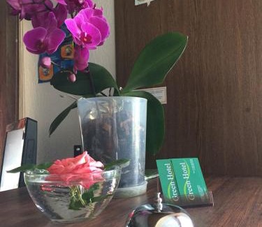 Almaty Hotel | Green Hotel