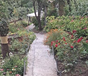 Sighnaghi Casa | Green House მწვანე სახლი