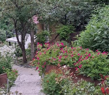 Sighnaghi Casa | Green House მწვანე სახლი