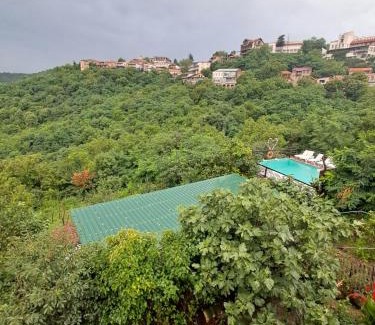 Sighnaghi Casa | Green House მწვანე სახლი