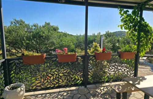 Marina Chalet De Esquí | Green house