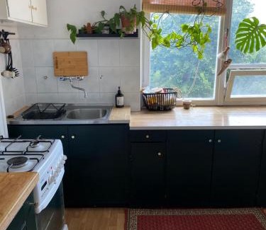 Oliwa Apartamento | Green House Oliwa