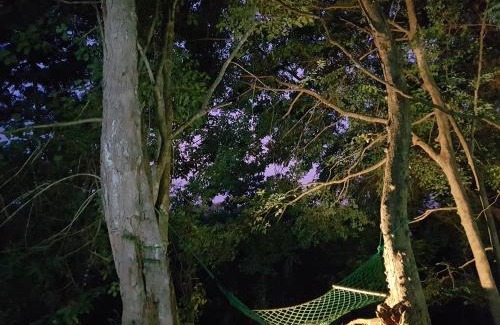Inamaluwa Complejo | Green House Resort