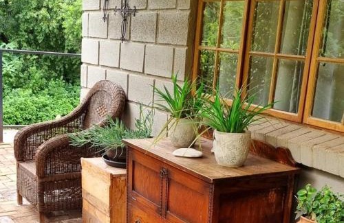Newcastle Casa | Green Ivy