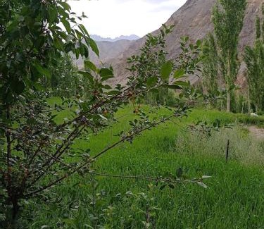 Tingmosgang Casa | Green Land Guest House Ladakh by LexStays