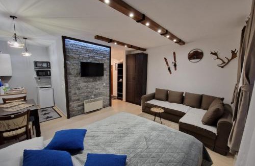 Shiligarnika Apartamento | Green life, Bansko, private studio c-17