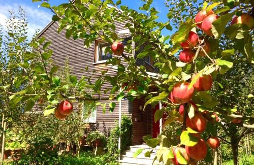 Obertraun Apartamento | Green Lodge