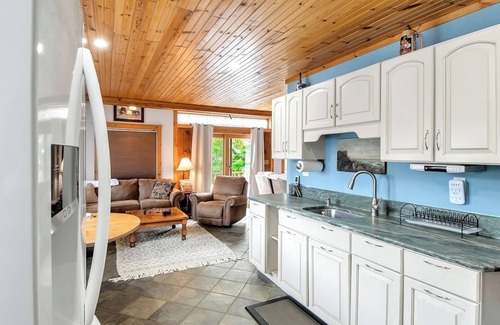 Mount Holly Casa | Green Mtn Haven Dog Friendly Hot Tub Okemo