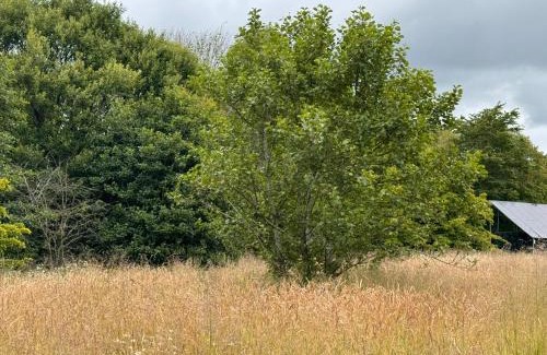 Dunfermline Otro | Green Oak Nature Retreat