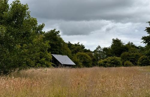 Dunfermline Otro | Green Oak Nature Retreat