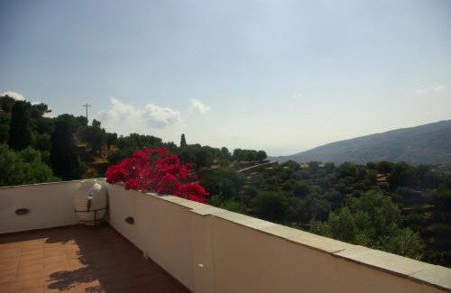 Andros Town Casa | Green Oasis