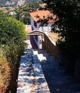 Andros Town Casa | Green Oasis