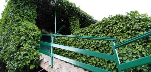 Bol Apartamento | Green Oasis
