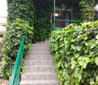 Bol Apartamento | Green Oasis