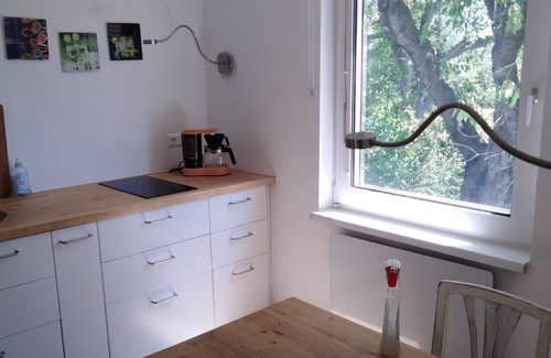 Vienna Casa | Green oasis in Vienna - whole house floor with garden+bikes