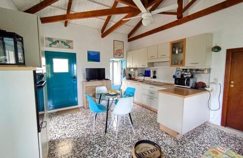 Askos Casa | Green Olive House