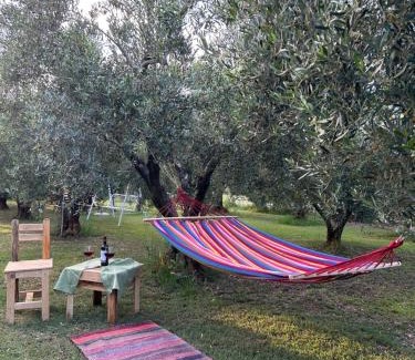 Nea Propontida Casa | Green Olive Studios