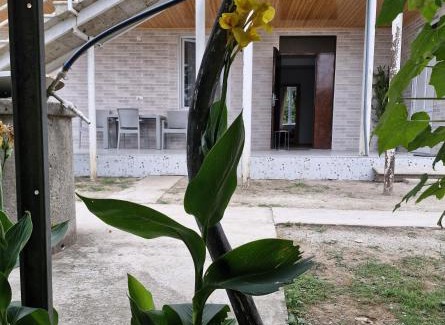 Salkhino Casa | Green Palms-მწვანე პალმები