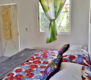 Leona Vicario Apartamento | GREEN PARADISE LEONA VICARIO