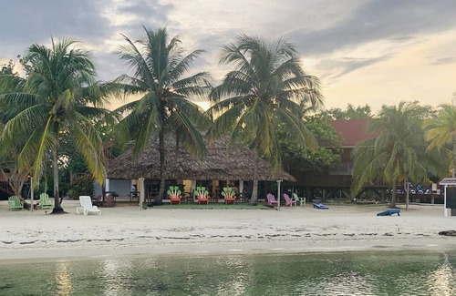 Placentia Hotel | Green Parrot Belize