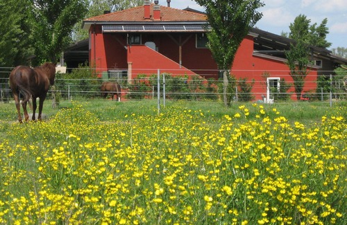 Badia Polesine Casa | Sala Verde ... naturaleza y relajación entre caballos de pastoreo ...