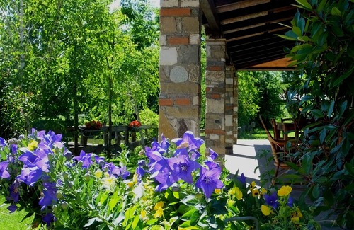 Badia Polesine Casa | Sala Verde ... naturaleza y relajación entre caballos de pastoreo ...
