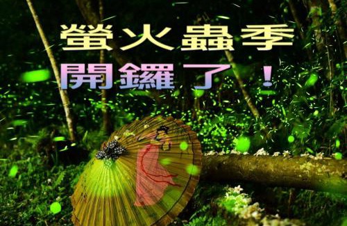 Nanzhuang Cama Y Desayuno | Green Shine B&B