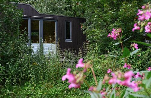 Osterode am Harz Casa | Green Tiny Village Harz - Tiny House Nature 19