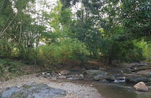 Arima Apartamento | Greene Kairi (Arima) cerca de Asa Wright Nature Center