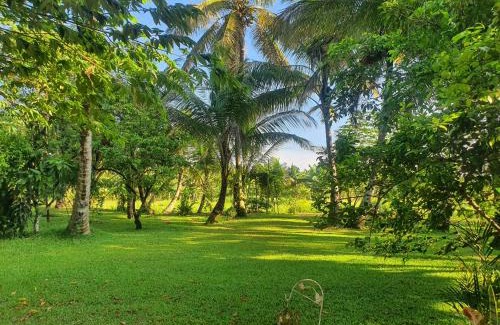 Ilukgoda Apartamento | GreenHeart Villa- Top Floor, Specious 3BR-1BR AC - Hot W, Peace in Greenary & Fresh Air -Travel Awards 2025
