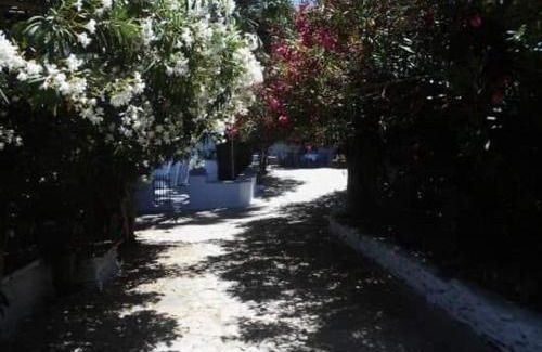 Smardakito Casa | Greenhouse at Tinos