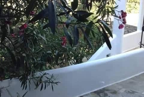 Smardakito Casa | Greenhouse at Tinos