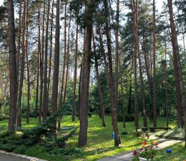 Obolons'kyi District Apartamento | GREENMIST apartaments