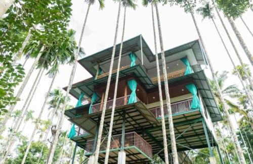 Sulthan Bathery Apartamento | GreensVista Pool Wayanad AC Pillar Homestay near Natural Stream and Amazing View
