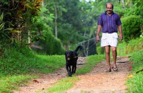 Sulthan Bathery Apartamento | GreensVista Pool Wayanad AC Pillar Homestay near Natural Stream and Amazing View