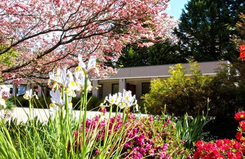 Bright Apartamento | Grevillea Gardens Apartments
