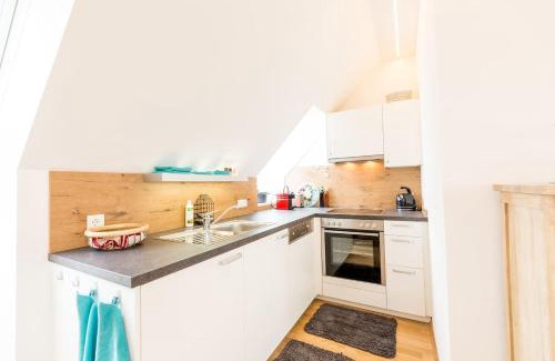 Graz City Centre Apartamento | Große Dachgeschosswohnung im Herzen von Graz