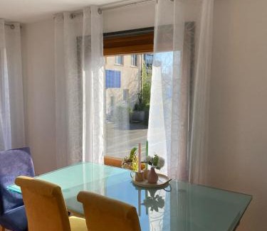 Waldshut-Tiengen Apartamento | Große FeWo in zentraler Lage in Tiengen