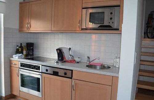 Welt Casa | Großer Wattläufer