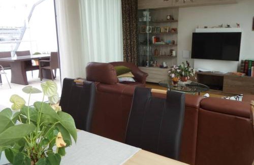 Neubau Apartamento | Großes Penthouse #12 mit Terrasse und Aussicht
