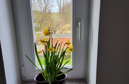 Schulp Apartamento | Großzügig & Gemütliche Ferienwohnung im Blumendorf Schülp. Für 4 Personen