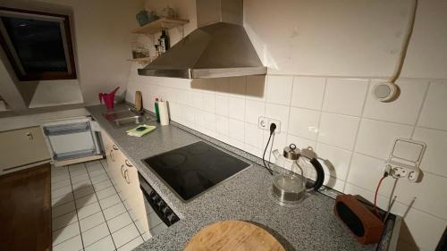 Mockern Apartamento | Großzügige Maisonette Wohnung über den Dächern Leipzigs