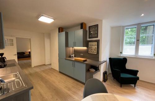 Clausthal-Zellerfeld Apartamento | Großzügige Souterrainwohnung in historischer Stadtvilla im Herzen Zellerfelds