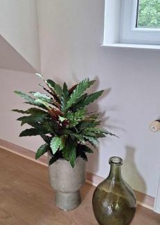 Mandoe Cama Y Desayuno | Groennebaek Bed and Breakfast