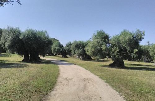 Castellaneta Casa | grottedisileno