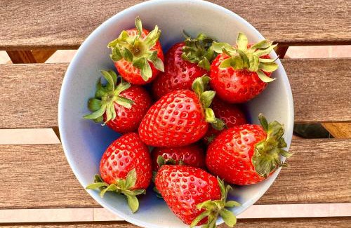 Gharb Cama Y Desayuno | Grotto's Paradise B&B