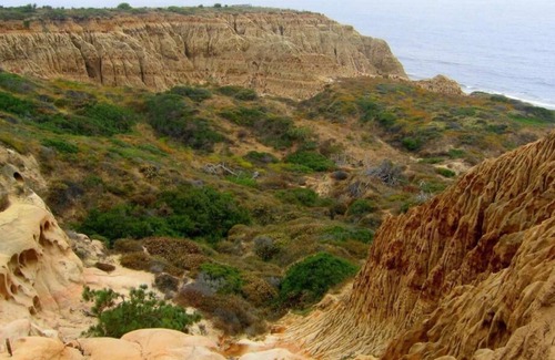 Sorrento Valley Casa | Group Getaway in San Diego! 2 Spacious Suites with Breakfast, Pet-friendly!