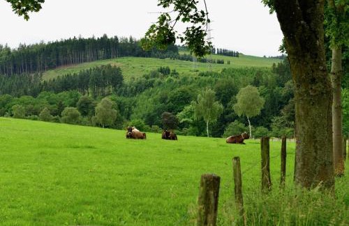 Elpe Casa | Gruppenferienhaus im Hochsauerland