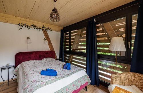Meikirch Casa | Gruppenunterkunft mit Billardtisch und Lamatrekking