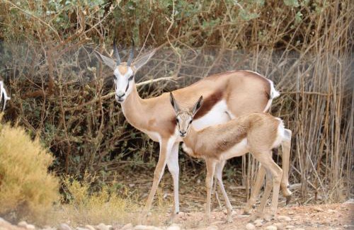 De Hoop Casa | Grysbok Self Catering Accommodation